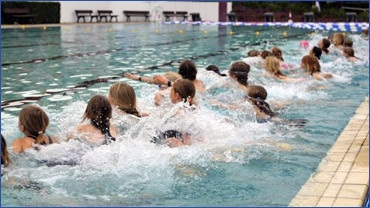 go sports triathlon, Wingst